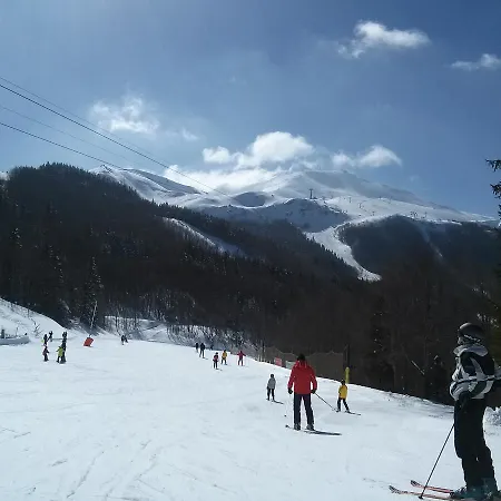 Hotel Capriolo 3*