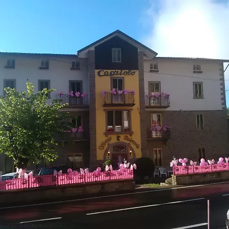 Hotel Capriolo 3*